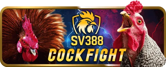 Ưu đãi và khuyến mãi hấp dẫn tại 9789bet win